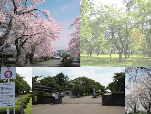 東霊園霊園の内部を表した複数の写真の組写真