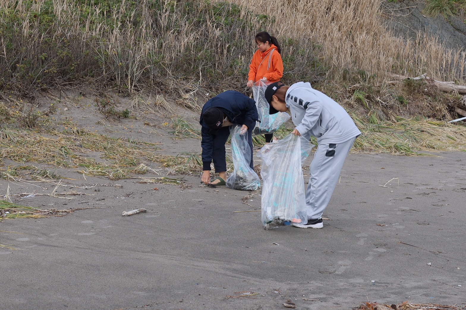砂浜のごみを拾う人たち