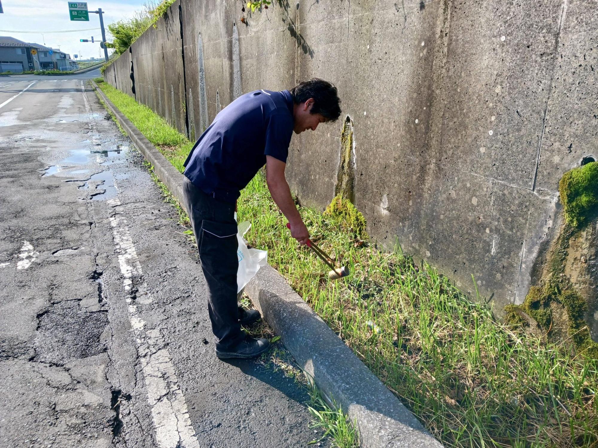 道路脇の草地のごみを拾う写真