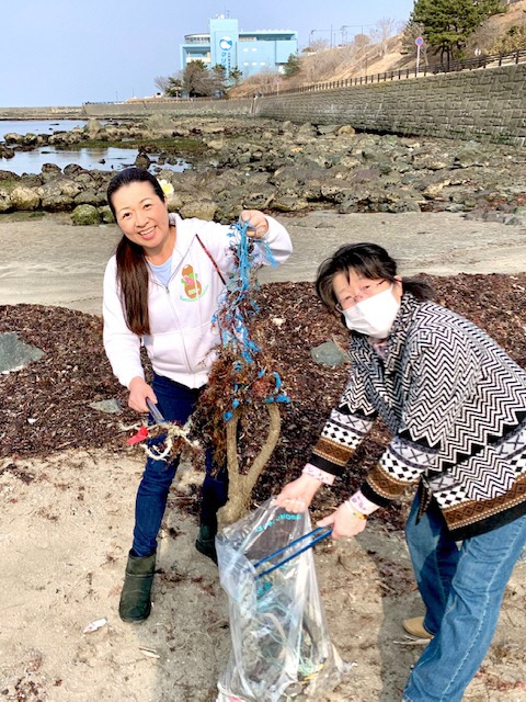 海藻の打ち上げられた砂浜でごみを拾う女性二人の写真