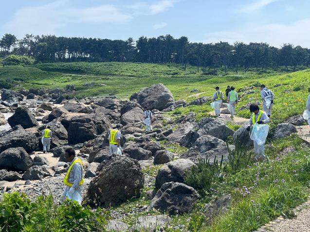 青空のもと、岩と草花の咲く海岸を作業服でごみを拾う多くの人の全体の写真