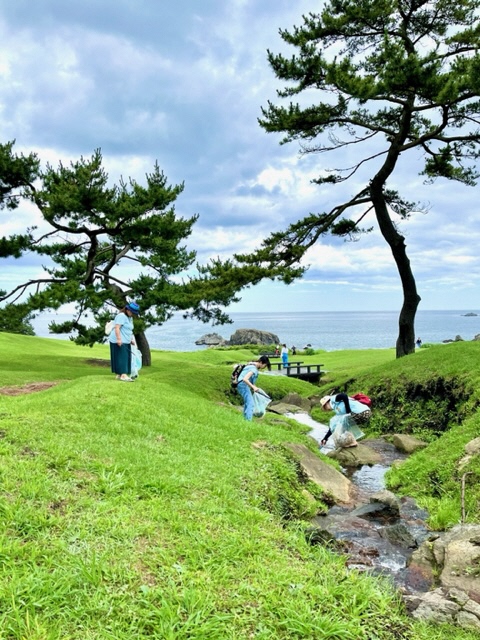 松の木が二本見える芝生地。水の流れている場所のごみを拾っている写真。