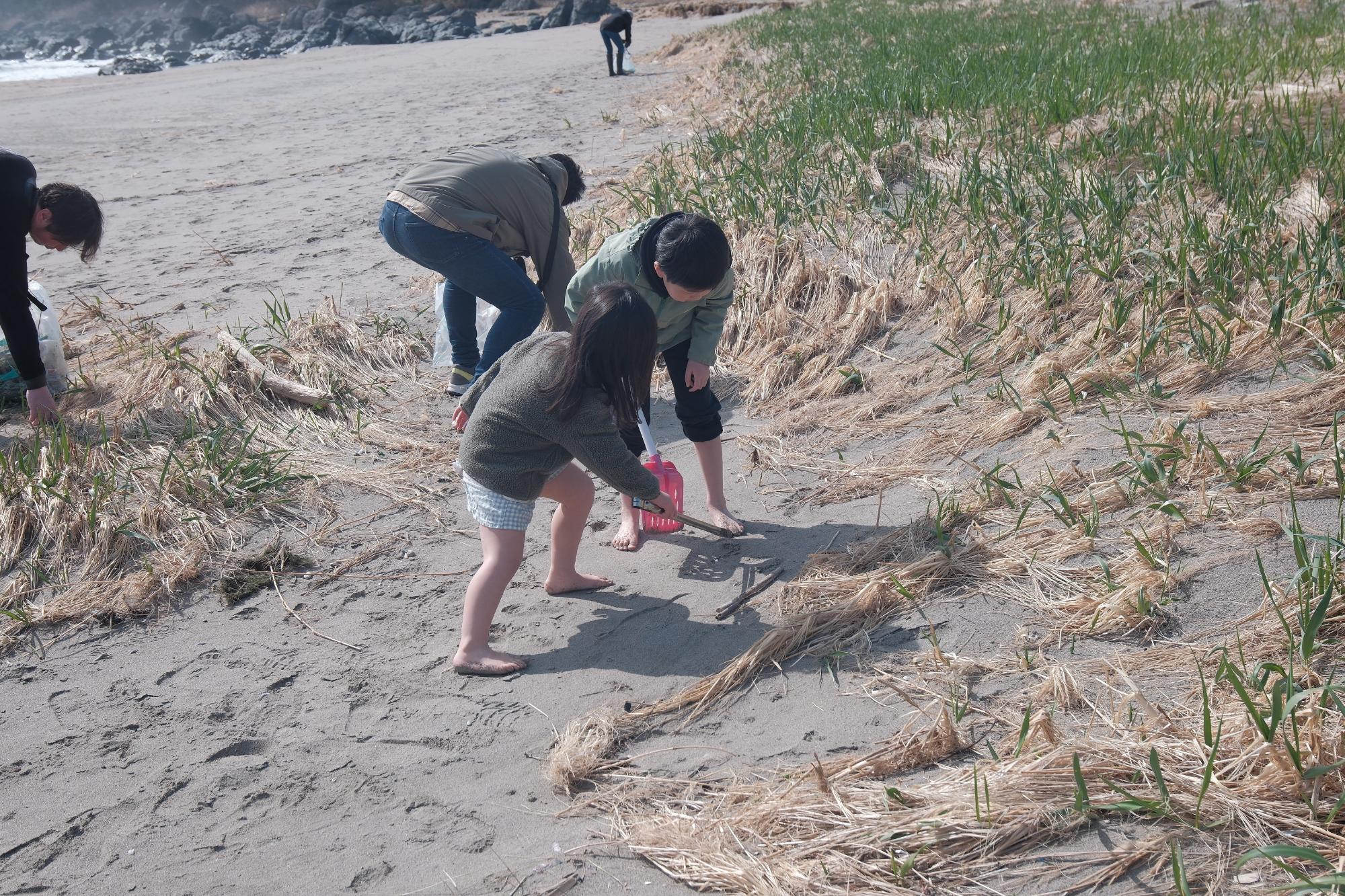 砂浜でごみを拾っている子供二人と男性の写真