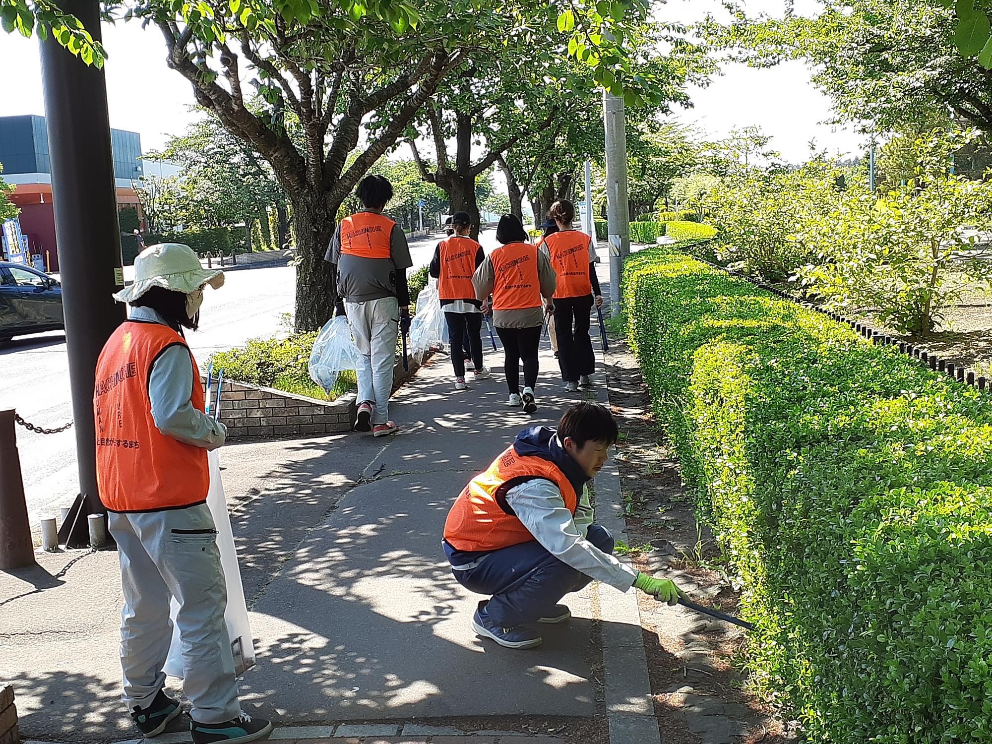 オレンジ色のビブスを着用し、歩道の植え込みの木の下のごみを拾っている写真