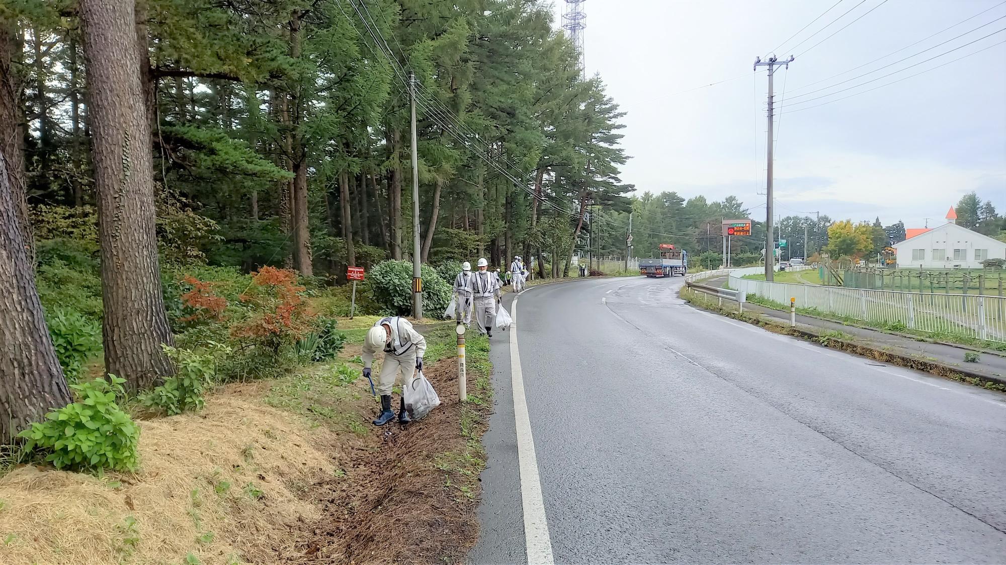 道路脇の大きな木の下のごみを集めている参加者の写真。作業服、ヘルメット、安全帯を着用している。