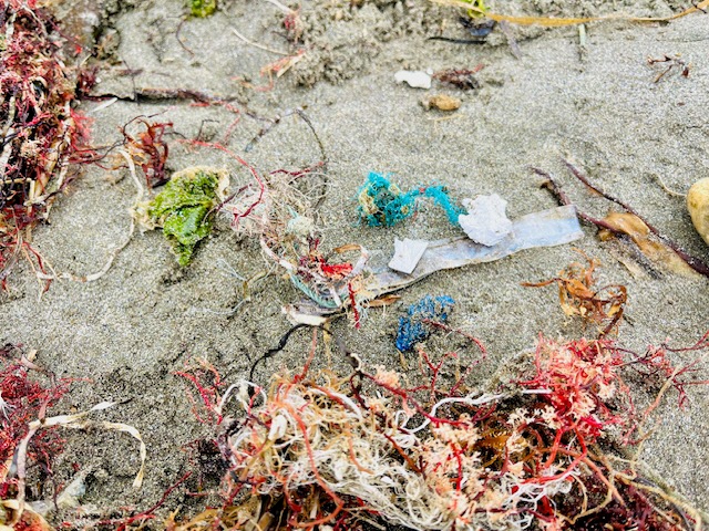 砂浜の上にある、細かく砕かれたビニールや縄、糸などの細かいゴミの写真。