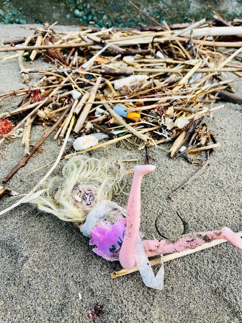 砂浜に広がる漂着した枝木や人形のおもちゃの写真。
