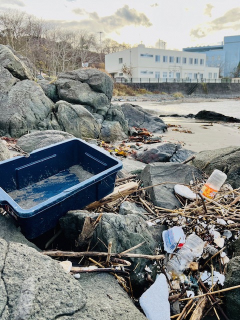 遠くにマリエントが見える場所。プラスチックごみが漂着している。