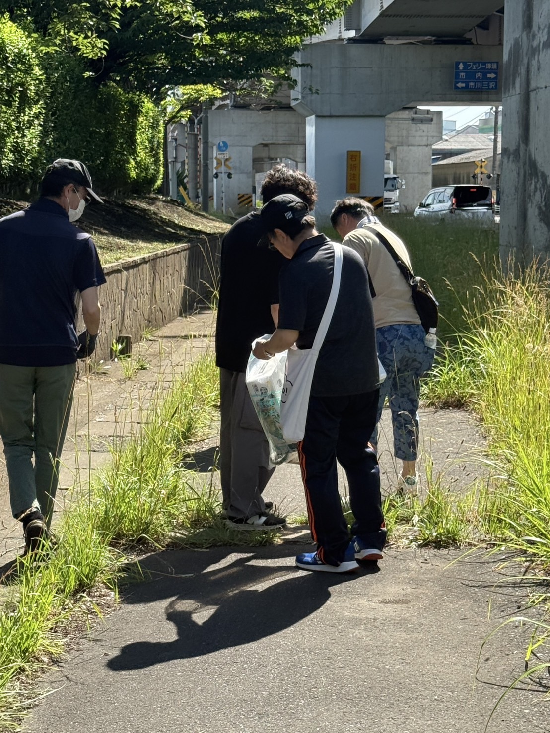 道路脇の草地のごみを拾う写真