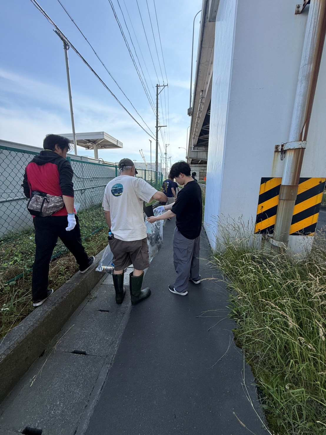 道路脇の草地のごみを拾う写真 2