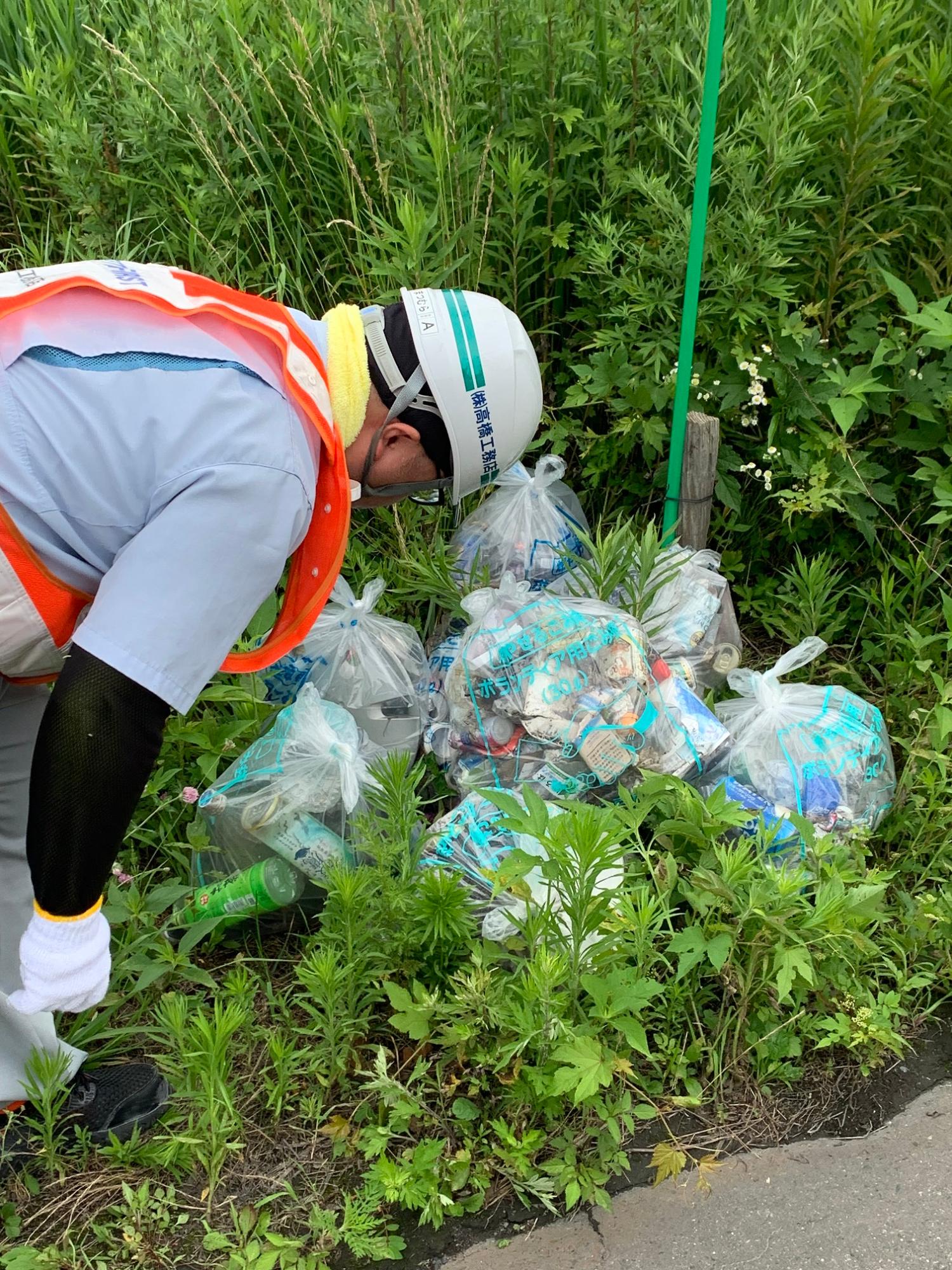 道路脇の草地のごみを拾う写真2