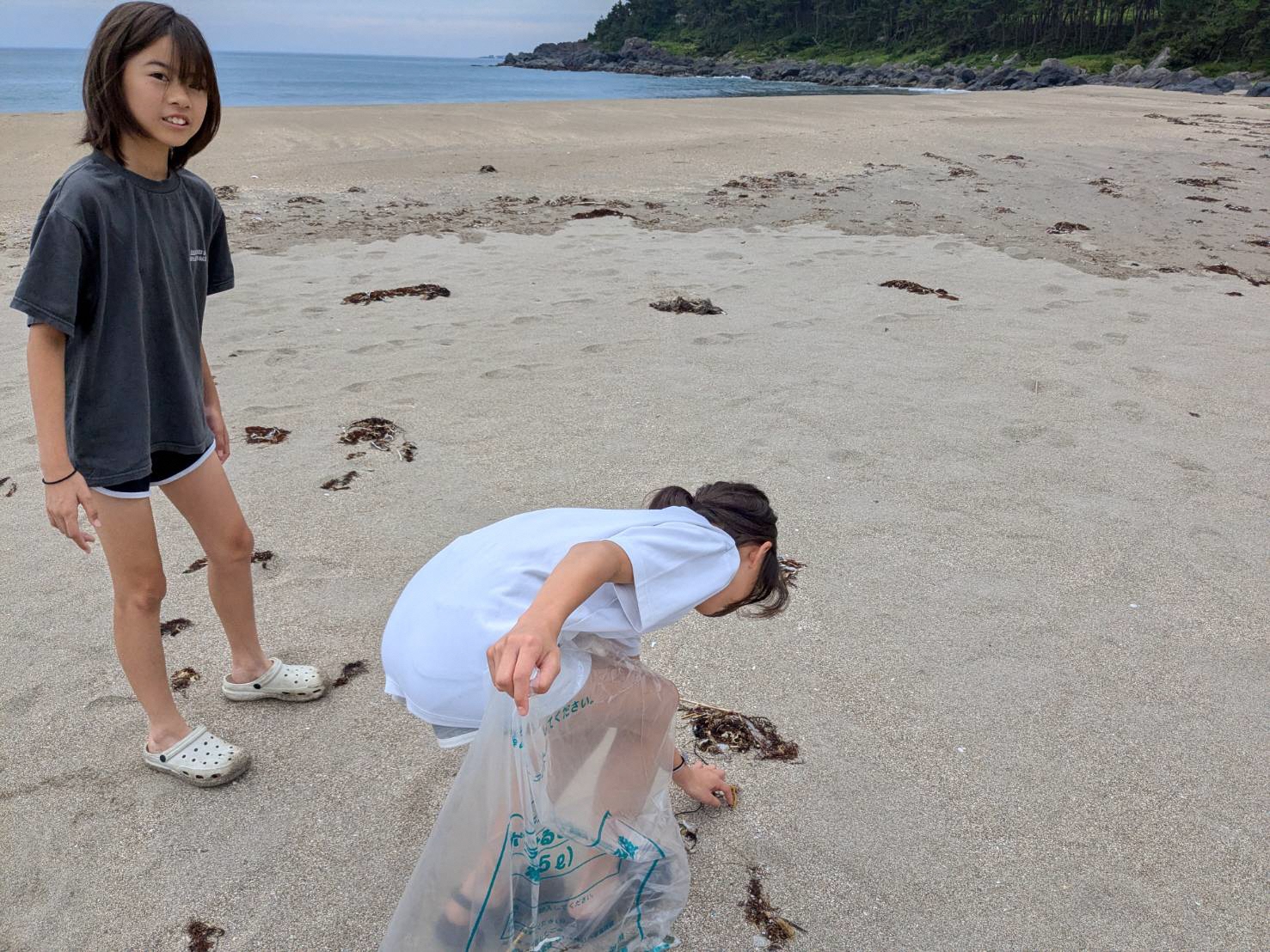 海岸のごみを拾う写真 1