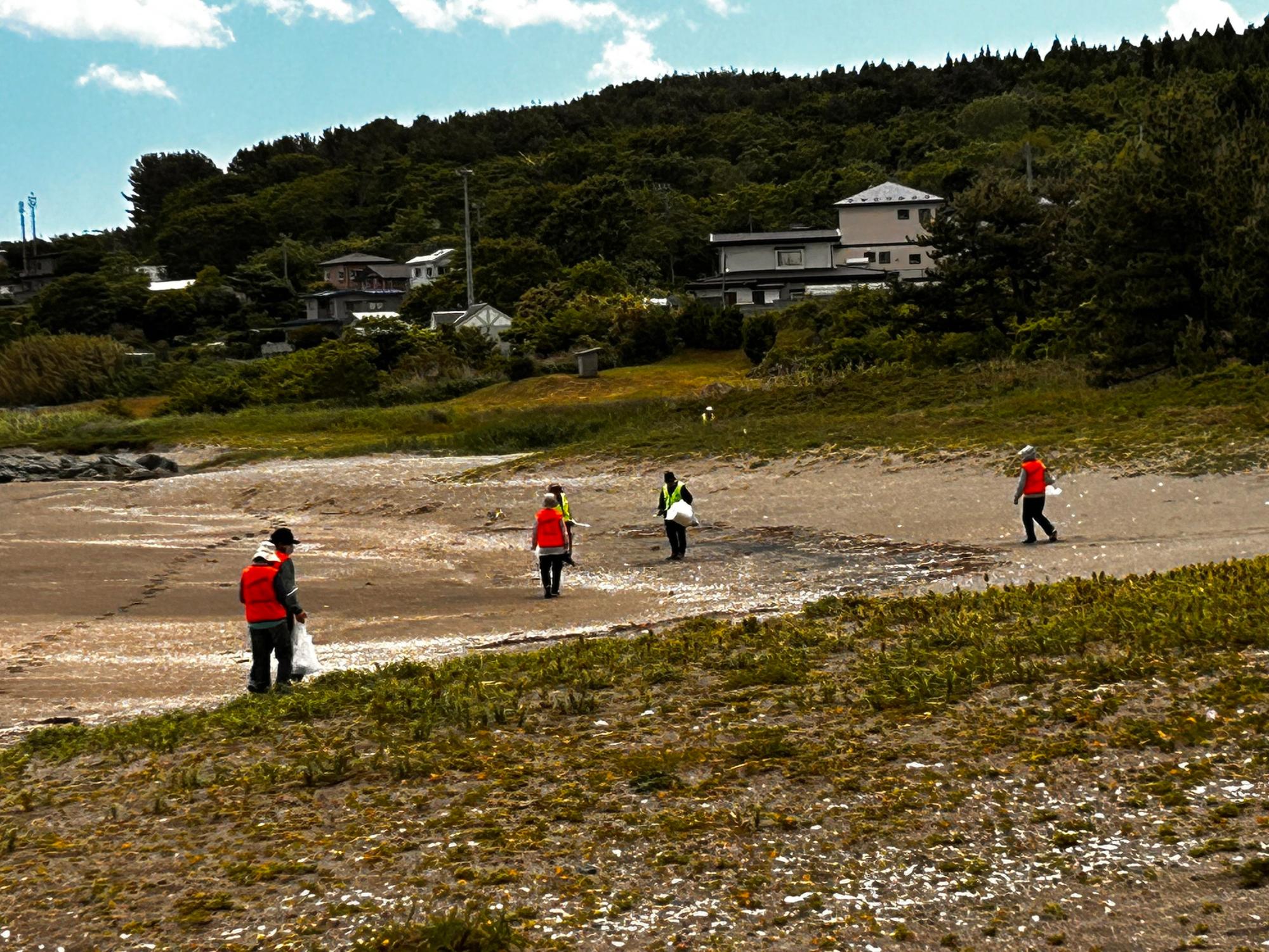 砂浜のごみを拾う5人