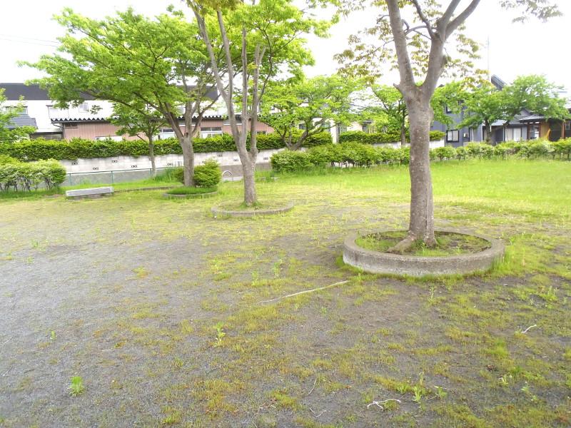 小田前公園の樹木の写真