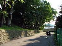 長根公園園路の写真