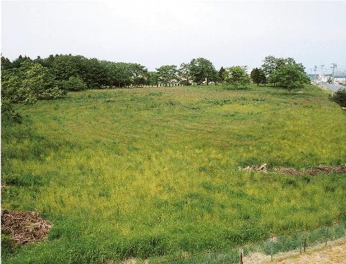 長七谷地貝塚の風景写真