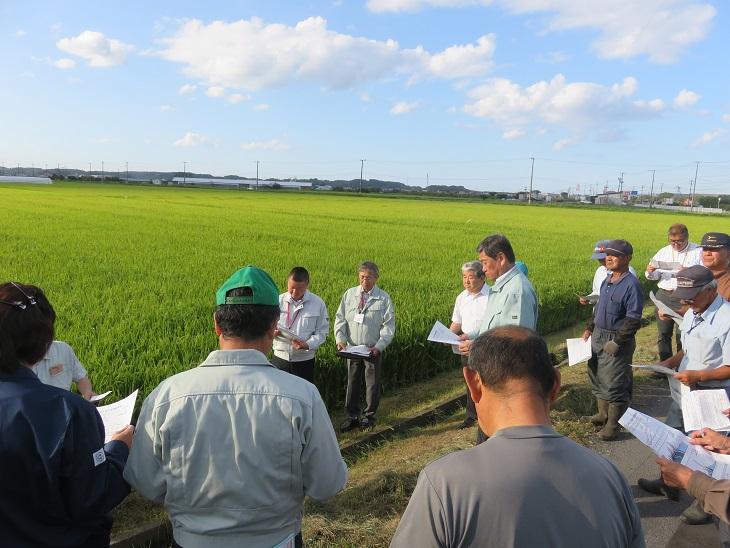 田園に水稲の生育状況調査で集まった農家の人々と市長が資料を持って話をきいている写真