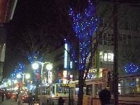 街路樹に設置されたLEDイルミネーションが、街灯と共に夜の街に浮かび上がる様子の写真