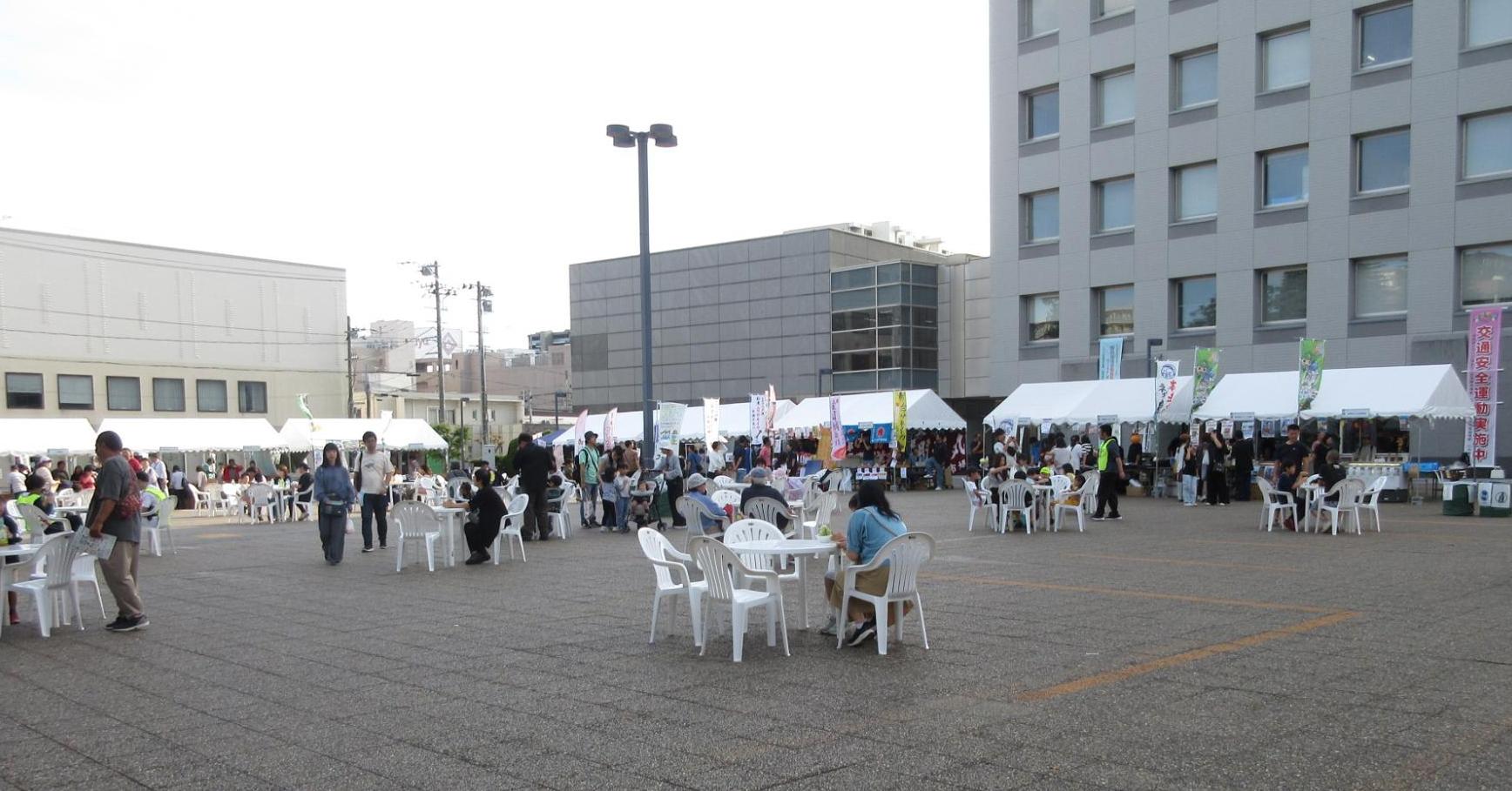 sanfes7
