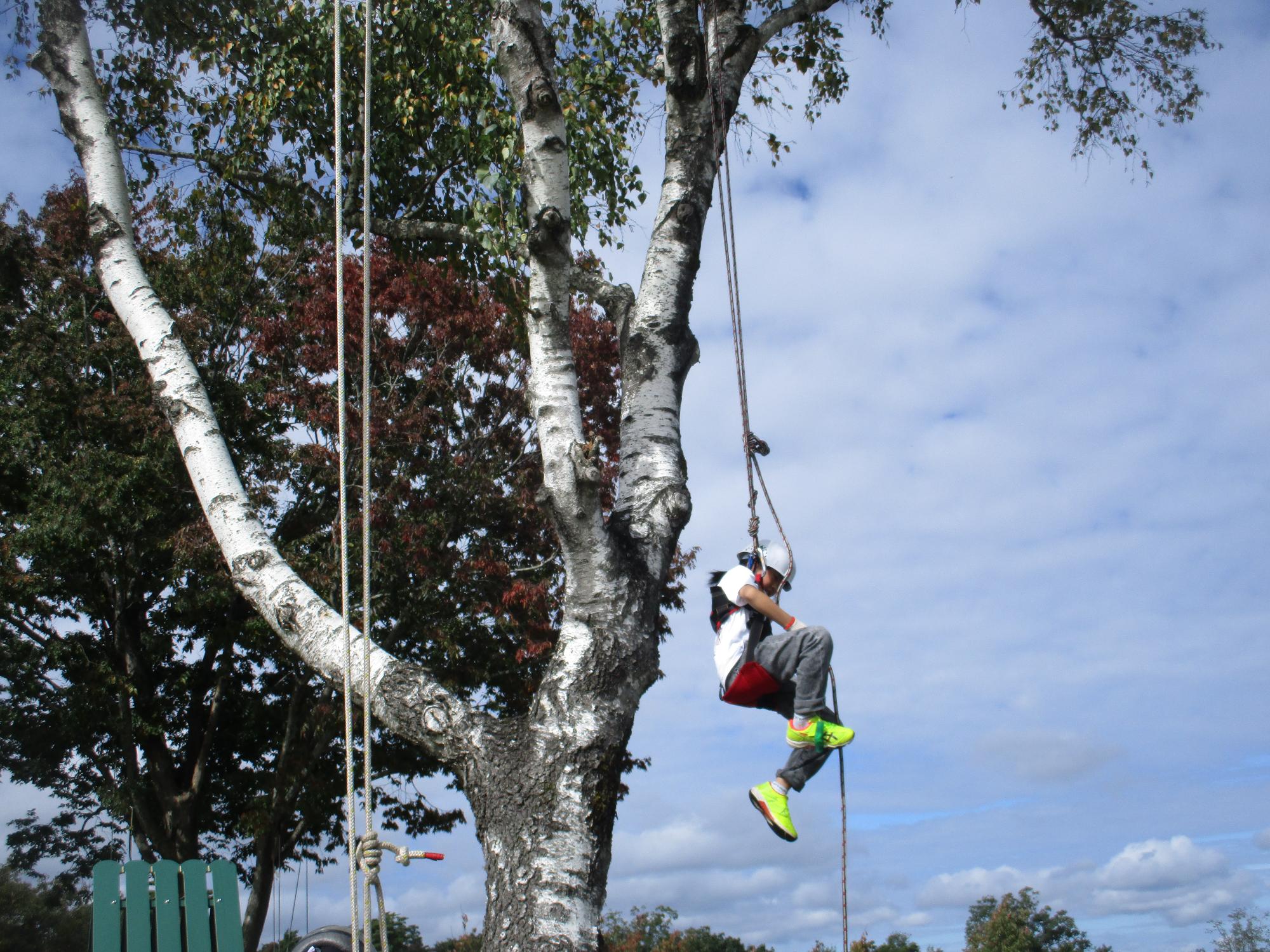 木登り3
