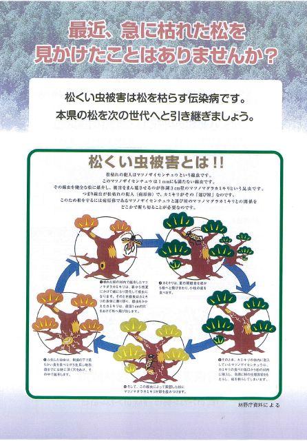 最近、急に枯れた松を見かけたことはありませんか？松くい虫被害は松を枯らす伝染病です。本県の松を次の世代へと引き継ぎましょう。松くい虫被害についてイラストをで詳しく書かれているポスター