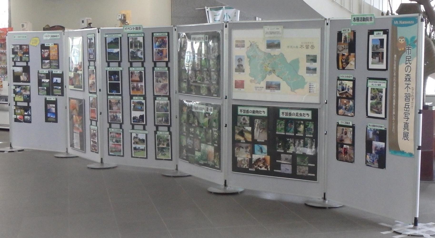 パネル展示