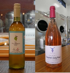 南郷新規作物研究事業(ワイン事業)