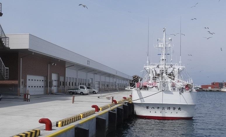 八戸第三魚市場と港に停泊している漁船の様子の写真