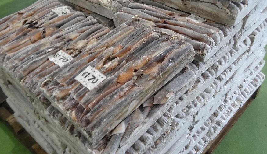 八戸第三魚市場での、水揚げされた冷凍イカが積まれている写真