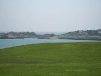 種差海岸の芝生の海を挟んで奥に漁港が見える写真