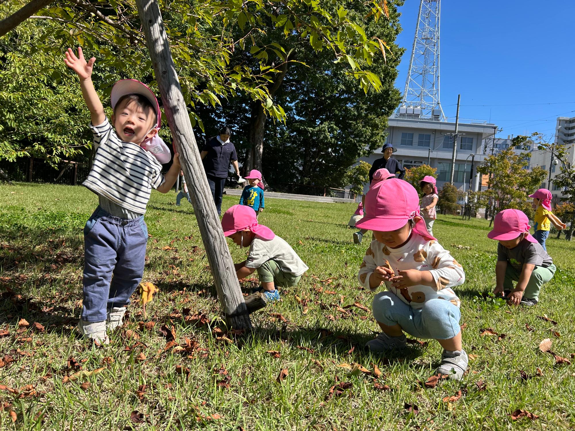サンフラワー保育園