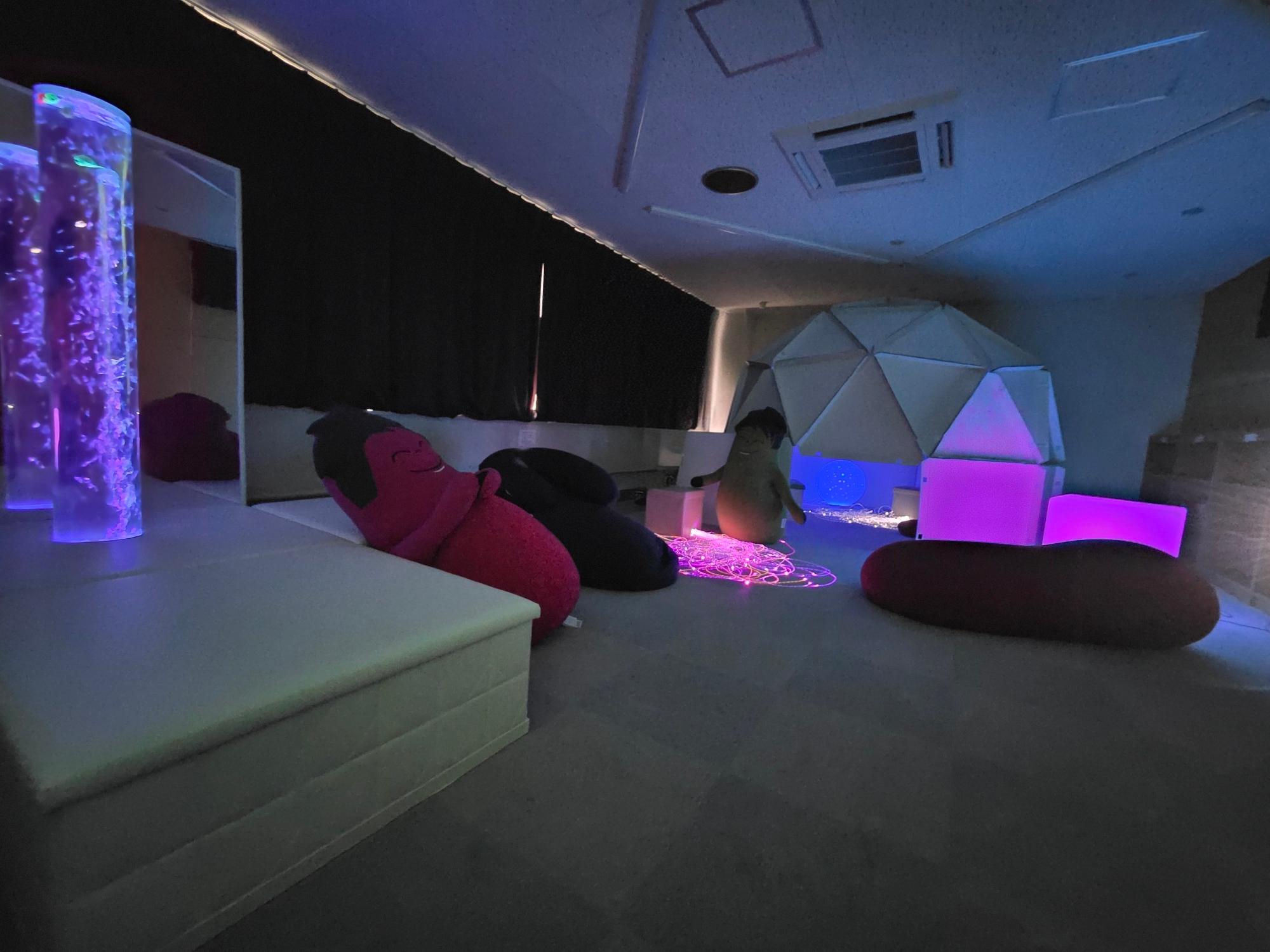 スヌーズレンルーム全体画像1