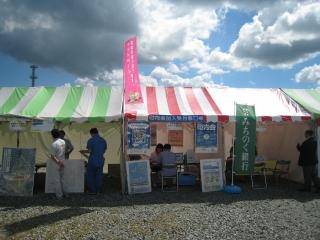 左に黄緑と白ボーダー柄のテント、中央にピンクと白ボーダー柄のテントが立っている、左テントの前に男性2名が後ろを向いて立っている写真