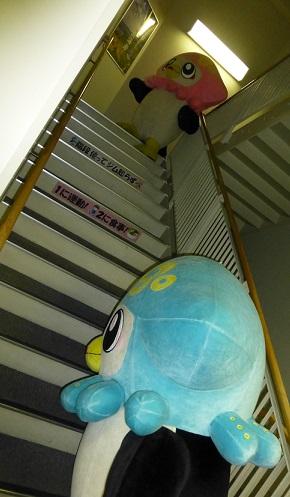 いかずきんズが階段を登っている写真