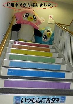 いかずきんズが階段を登り終わった写真