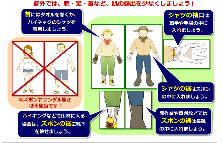 マダニに刺されないための野外の服装の画像。半ズボンやサンダル履きは不適当です！首にはタオルを巻くか、ハイネックのシャツを着用しましょう。シャツの袖口は軍手や手袋の中に入れましょう。シャツの裾はズボンの中に入れましょう。ハイキングなどで山林に入る場合は、ズボンの裾に靴下を被せましょう。農作業や草刈などではズボンの裾は長靴の中に入れましょう。