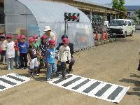 保育園、幼稚園での「模擬信号機を使った歩行訓練」の写真