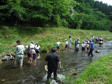 周りを緑に囲まれた浅瀬の川に入っている小学生と職員達の写真