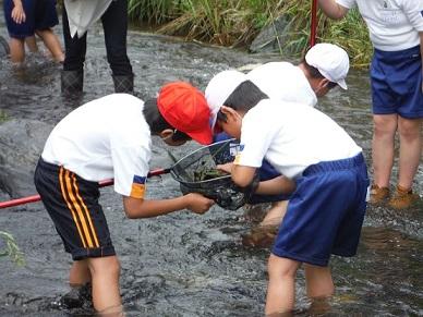 赤の帽子を被った男の子と白の帽子を被った男の子が川の中で虫取り網で何かを捕まえ虫取り網の網の中を探っている様子の写真