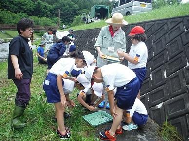 河原で地面に置かれた緑色のトレーの中を覗き込む小学生たちの写真