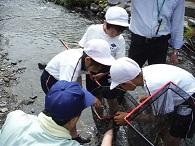 浅い川の中に入った小学生3人が虫取り網の中を覗き込んでいる写真