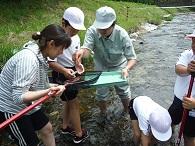 大人の女性一人が虫取り網を持ちその横の小学生1人と大人の男性が虫取り網の中を覗き込んでいる写真