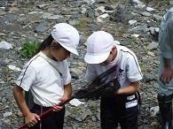 河原で虫取り網を持った女の子と一緒に虫取り網の中を覗き込んでいる男の子の写真