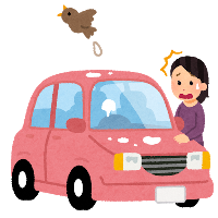 ピンク色の車に鳥が糞を落しており、車の持ち主の女性が驚いているイラスト
