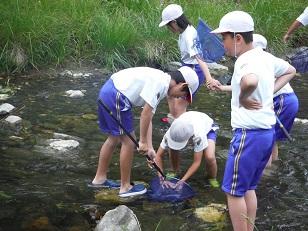 5人の小学生が川の中に入りそのうちの2人が虫取り網で何かを捕まえた様子の写真
