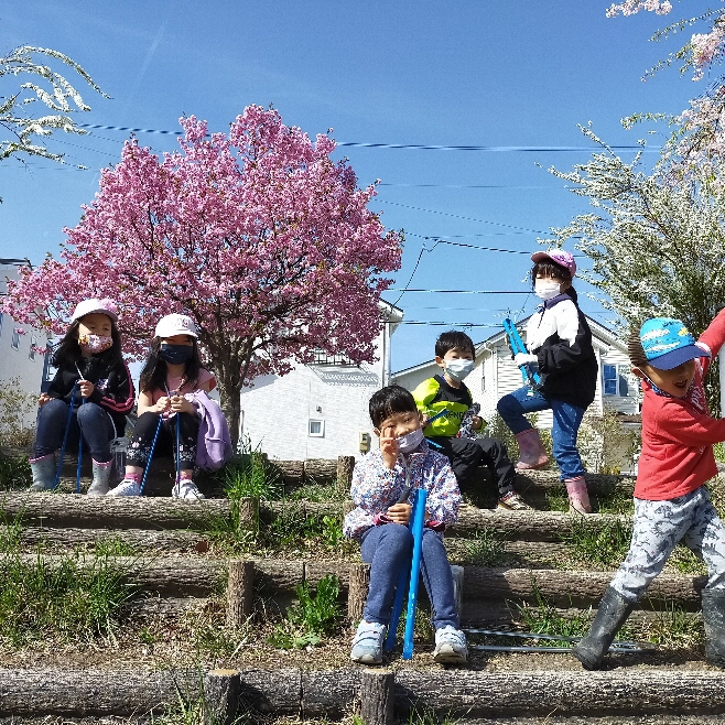 桜の木の周りで子どもたちとごみを拾う写真