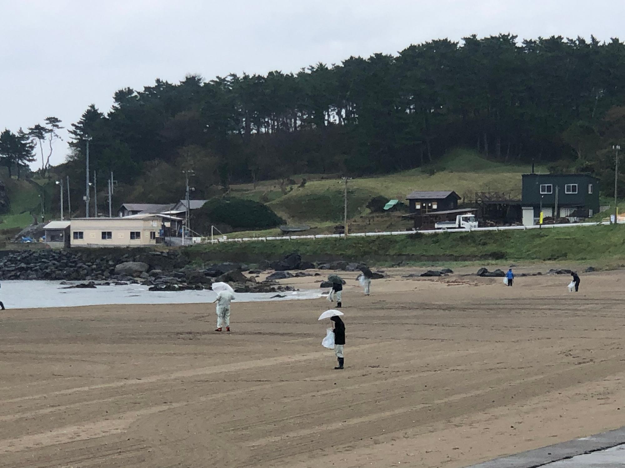 白浜海岸の砂浜で傘をさしながら、ごみをひろう様子