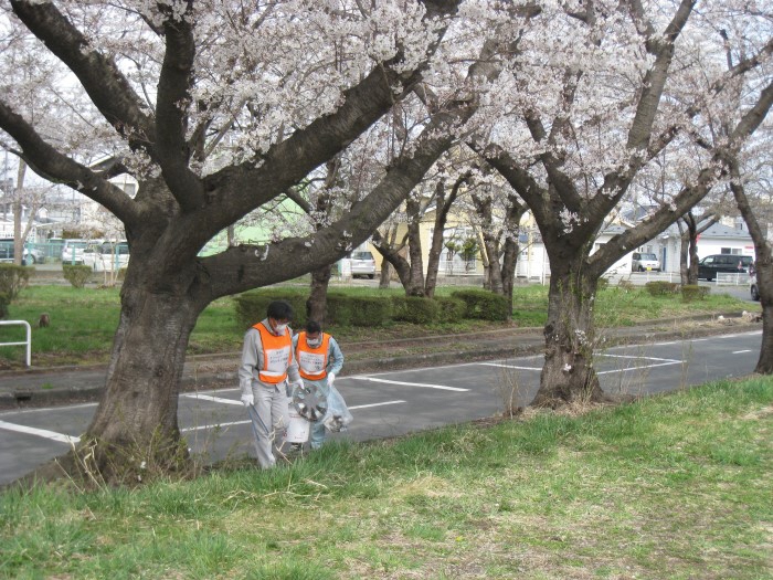 桜の木の下で集めたごみを運ぶ男性二人の写真
