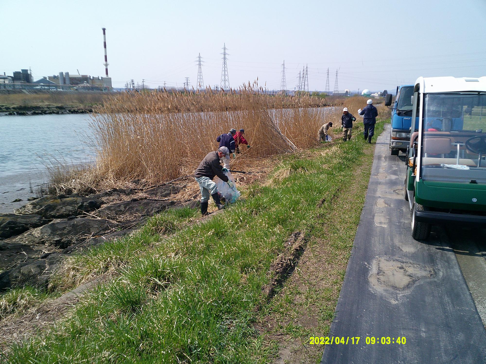 河川敷のごみを集めている写真