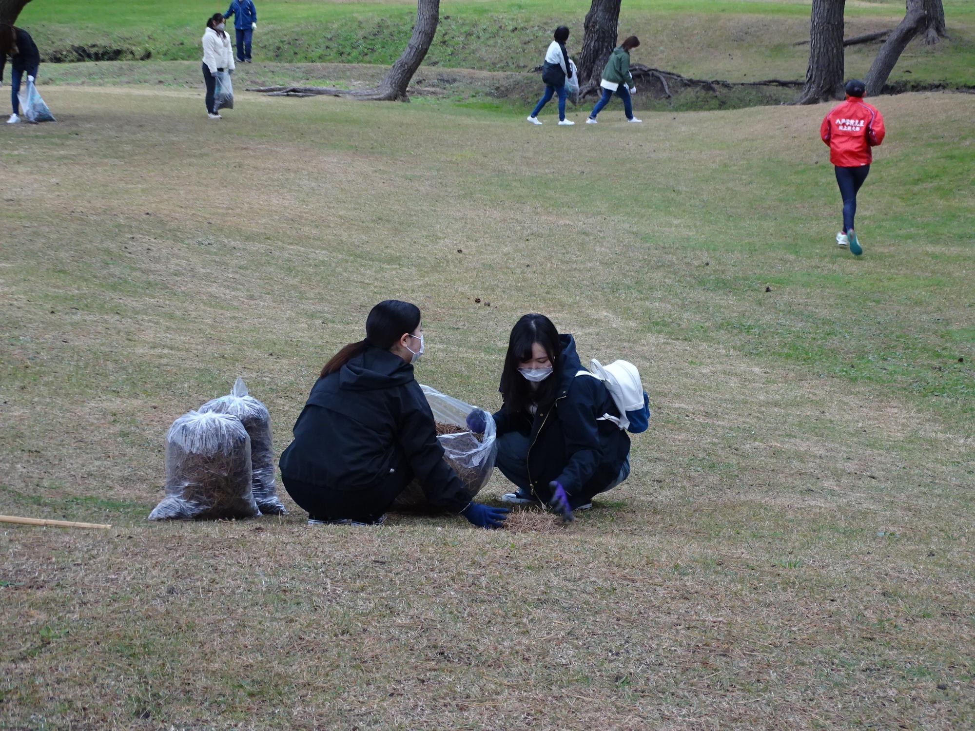 芝生地で袋にごみを入れている二人の写真